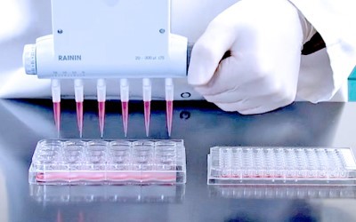 multichannel adjustable spacer manual pipette 